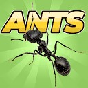 بازی مورچه های وحشی - شبیه ساز کلونی