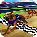 مسابقه سگ های وحشی