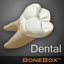 جعبه استخوان - دندان