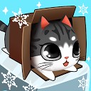 گربه کوچولو داخل جعبه