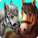اصطبل اسب - مراقبت از اسب ها