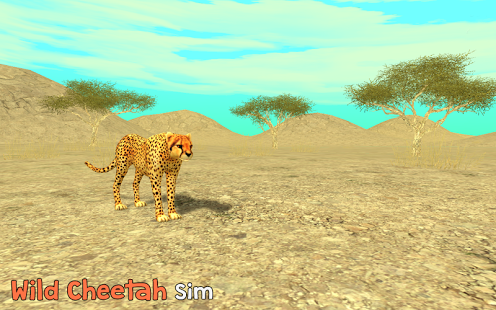 بازی اندروید شبیه ساز چیتا وحشی - Wild Cheetah Sim 3D