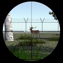 شکار آهو - واقعیت مجازی