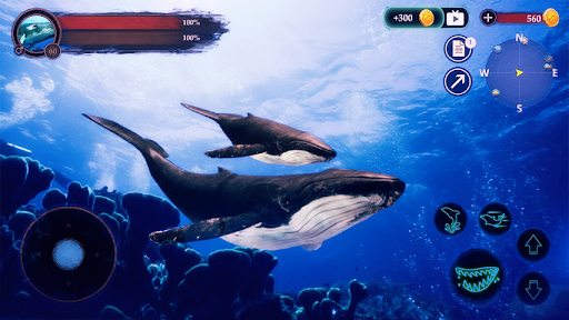 بازی اندروید  نهنگ عنبر - The Humpback Whales